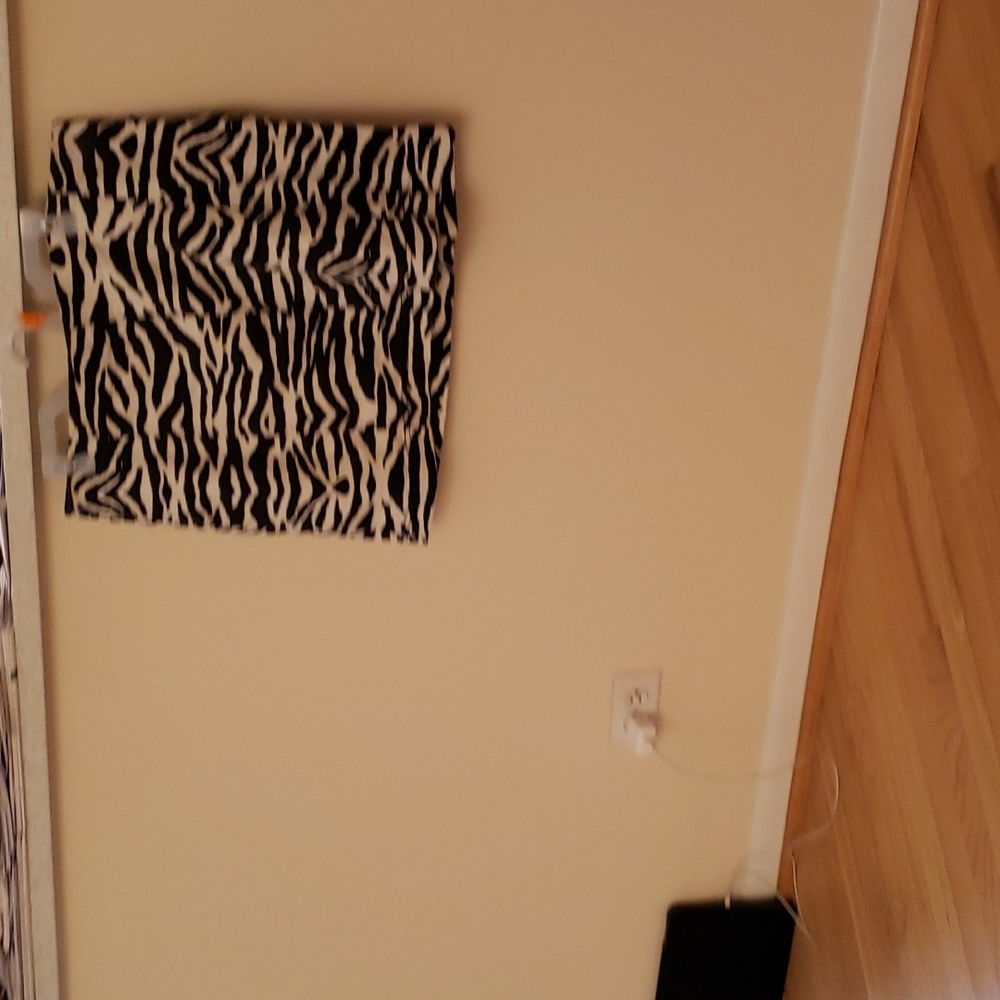 Zebra print Mini skirt